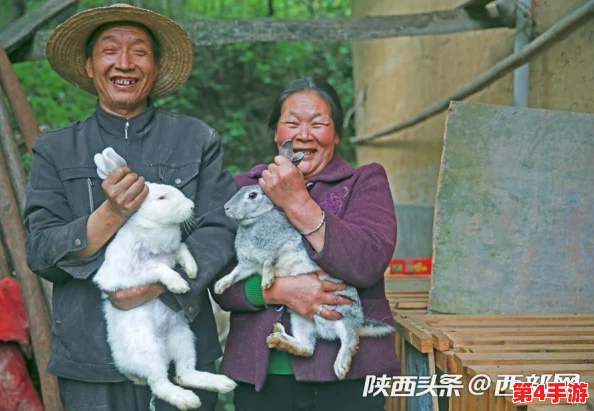 双手游走在你茂密的森林：感受自然之美，体验人与环境和谐共生的新方式