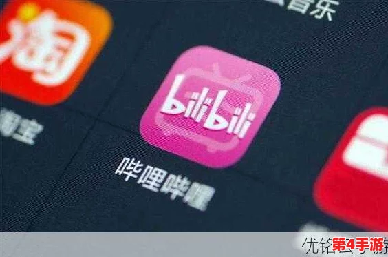 哔哩哔哩污染版入口，如何寻觅乾坤无定