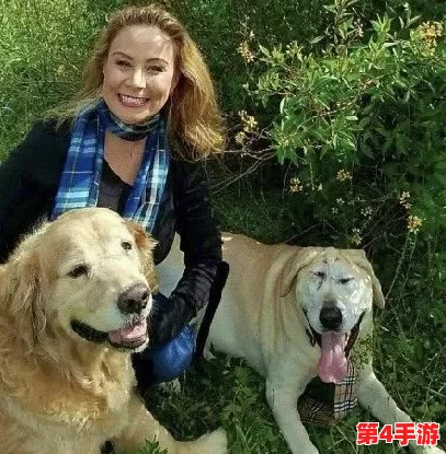 婆婆和我的狗老公怎么相处:爱与理解让家庭更加温暖幸福 婆婆和我的狗老公怎么相处:爱与理解让家庭更加温暖幸福