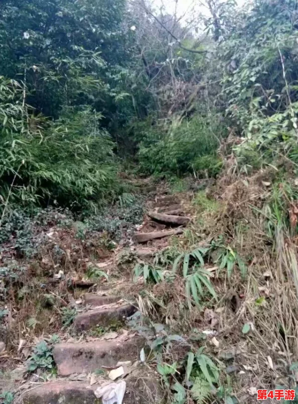 班长哭着告诉我不能生了孩子，背后隐藏的真相让我心痛不已，生活中的无奈与选择让人深思
