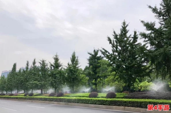 hp公交车灌溉系统经年未醒，市民呼吁重启项目以改善城市绿化和交通环境