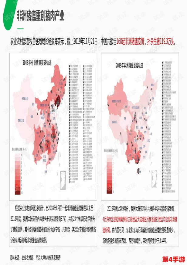 非洲BBBBWWBBBB：探讨该地区在全球经济中的新机遇与挑战，分析未来发展趋势及其对国际关系的影响