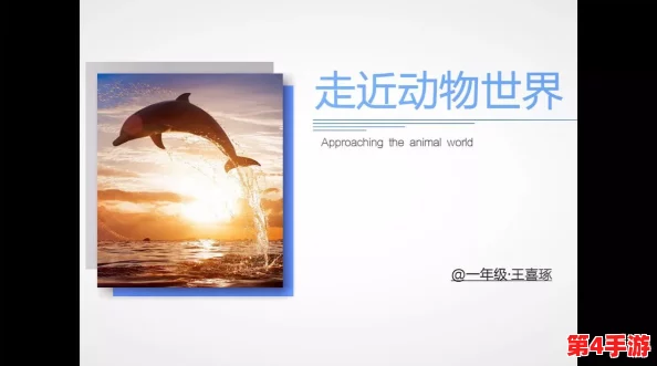 c.14，千锤百炼的智慧与坚持，成就非凡人生之路