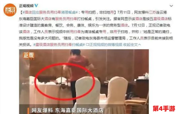 满天星《酒店服务生》：揭示职场背后的故事与人性光辉，展现服务行业的真实面貌与挑战