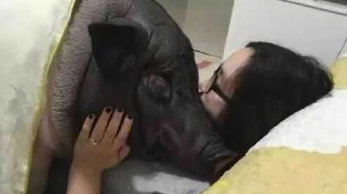 女人与公猪交交30分钟无遮挡，用户评价：内容刺激，情节引人入胜，让人欲罢不能！