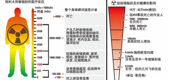 辐射4：掌握休息技巧与任务类技能效果全解析，提升生存效率指南