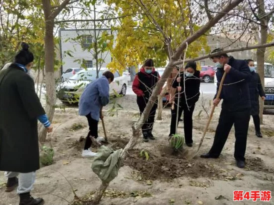 朝阳群众51网站：助力社区安全，提升居民参与感与归属感的全新平台上线