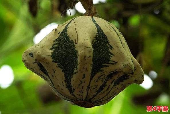 植物大战僵尸2：飞碟瓜实战效能与特色技能全面评测，解锁新关卡必备神器！