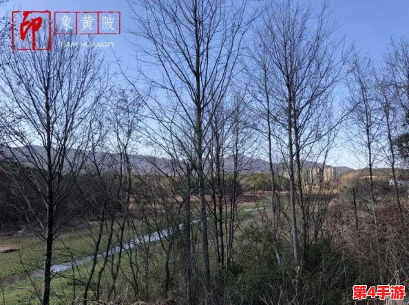回乡大巴车最后一排:那份独特的视角与情感,承载着无数归乡人的故事与期待 回乡大巴车最后一排:那份独特的视角与情感,承载着无数归乡人的故事与期待