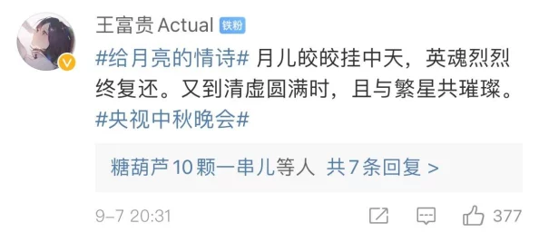 十大黄台禁用的破解方法：深入理解这些技巧背后的风险与后果