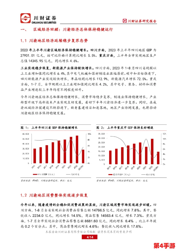 四川XXXXXLmedjyf本电：深入分析当前经济形势对地方发展的影响与应对策略探讨