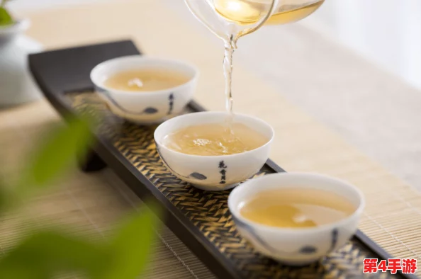 NANA_taipei茶艺Mba：一杯好茶，品味出宁静与和谐的完美体验