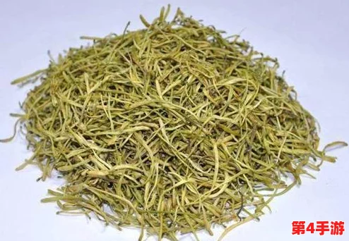 双管齐下TXl金银花：助力健康生活，提升免疫力与抗氧化能力的天然选择