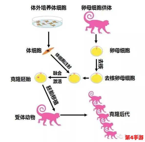 系统需要收集n多精，网友猜测是为了进行DNA克隆技术的实验
