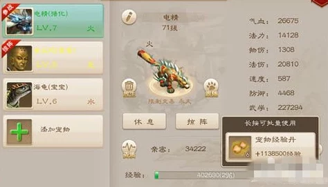 问道手游：精研体水系宠物搭配策略，打造最强辅助角色指南