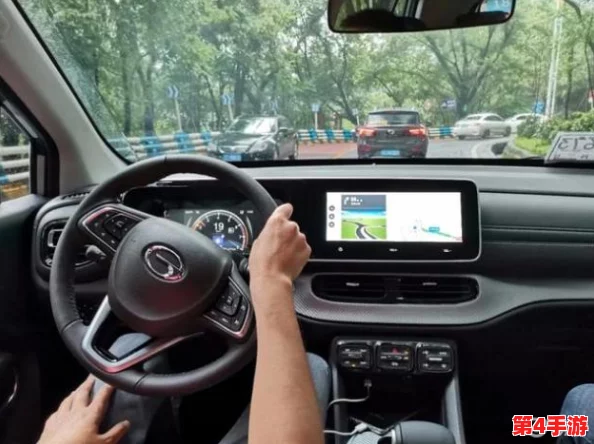顶级稀缺小马拉小车：探寻高端玩具的市场价值与收藏潜力，了解其制作工艺与历史背景