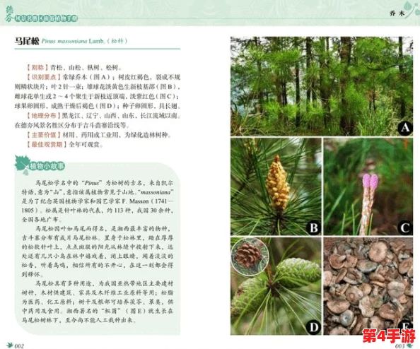 嫩叶草研究一二三线路：科学家发现神秘成分，或能提升植物生长速度，引发业界热议与关注！