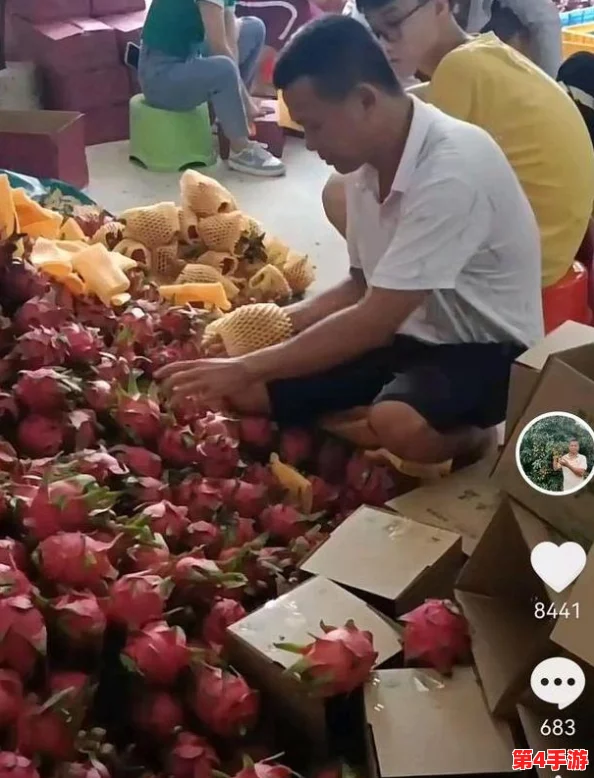 红桃现颢：网友热议这一现象，纷纷表达对水果品质和市场监管的关注与期待