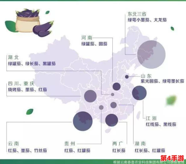 茄子视频污：解析其内容类型、用户群体及对在线视频行业的影响与发展趋势