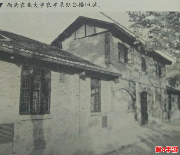 军训大白兔蹦出来了照原片：揭示军训期间学生们的趣味体验与团队精神的结合方式