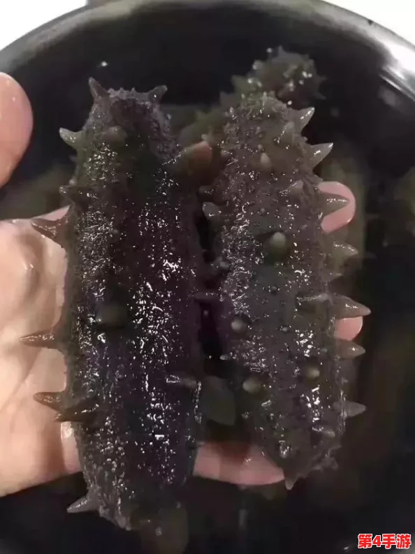 鱿鱼最新地域by：全球捕捞量激增，生态影响与可持续发展面临严峻挑战