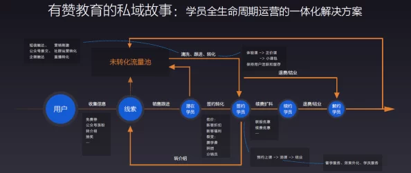 tom转入接口进展：新功能上线，提升用户体验与数据安全性，助力业务发展