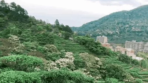 色一五月：多彩生活的绚丽篇章，展现五一假期的独特魅力与精彩活动