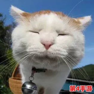 色色猫TV：网友热议其内容创意与表现形式，认为其独特风格吸引了大量年轻观众的关注和喜爱