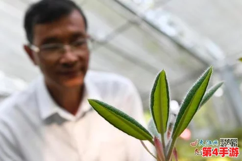 生物老师拿自己做繁育实验，成功培育出多种新型植物，引发学生们的热烈讨论与关注