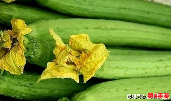 草莓丝瓜芭乐鸭脖奶茶的装饰元素:探讨如何通过色彩搭配和创意摆放提升饮品的视觉吸引力与美感 草莓丝瓜芭乐鸭脖奶茶的装饰元素:探讨如何通过色彩搭配和创意摆放提升饮品的视觉吸引力与美感