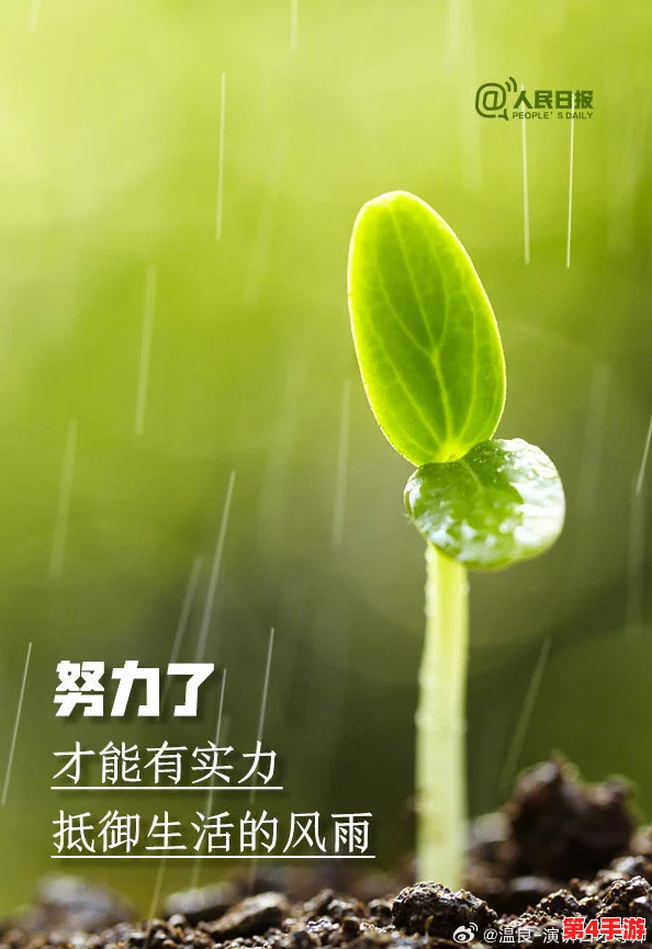 t66t今天更新，积极向上，努力拼搏，每一步都是向前迈进的动力