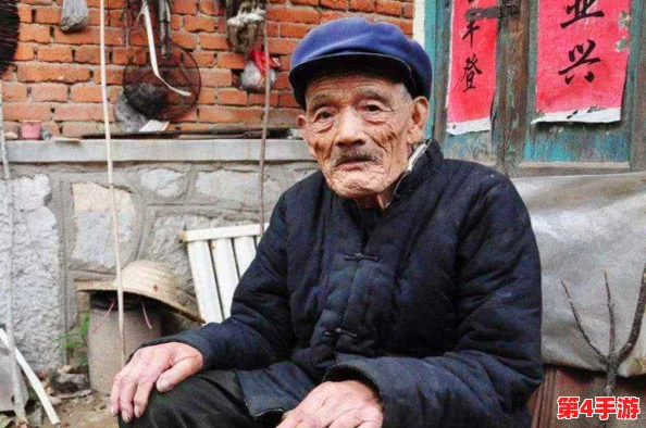 齐司礼车超细：解析其在古代交通中的重要性与文化象征意义的研究