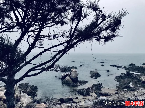 海角.comhj3dchj：网友热议这一新兴平台的潜力与挑战，是否能成为下一个网络风潮？