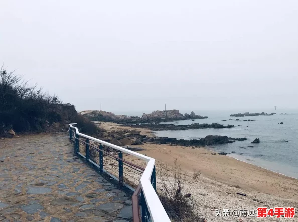 海角.comhj3dchj：网友热议这一新兴平台的潜力与挑战，是否能成为下一个网络风潮？