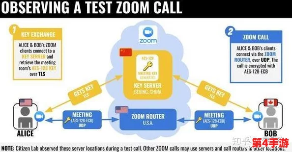美国Zoom动物：疫情期间远程办公兴起如何影响职场文化与动物行为的观察与反思