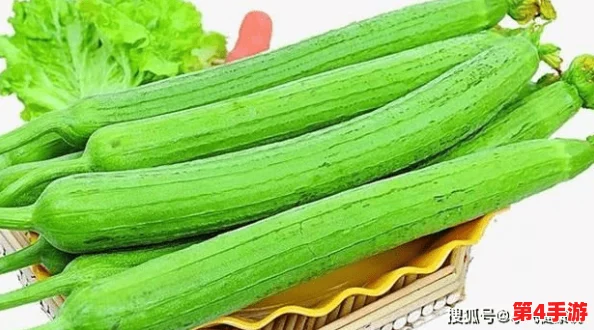 草莓丝瓜视频:一段展示草莓与丝瓜的创意料理过程,带你领略新鲜食材的美味搭配和独特做法 草莓丝瓜视频:一段展示草莓与丝瓜的创意料理过程,带你领略新鲜食材的美味搭配和独特做法